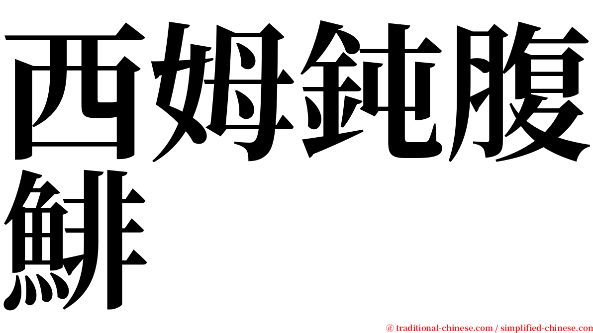 西姆鈍腹鯡 serif font