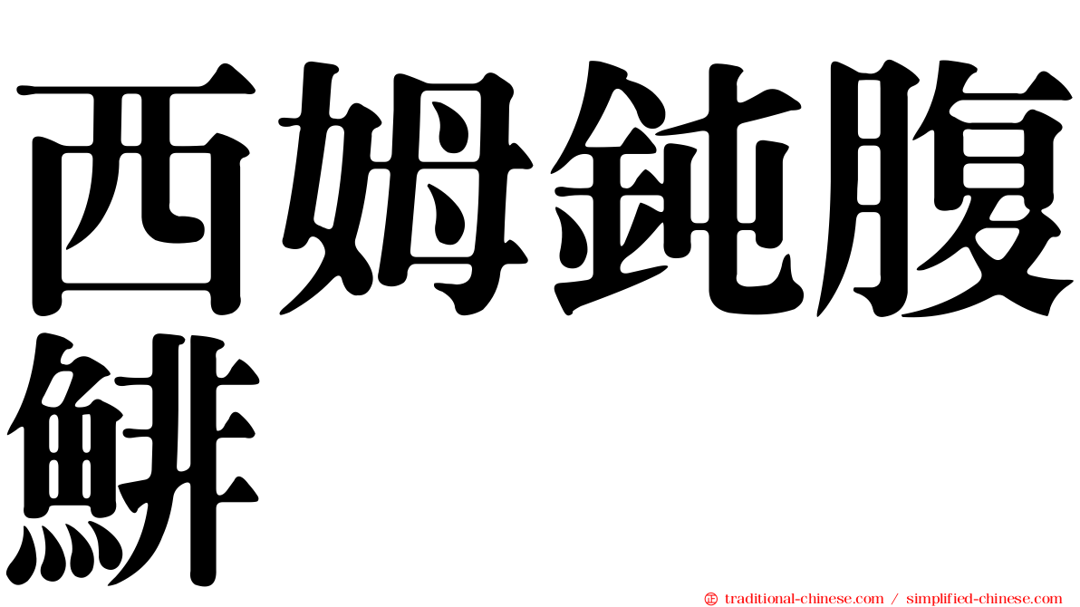 西姆鈍腹鯡