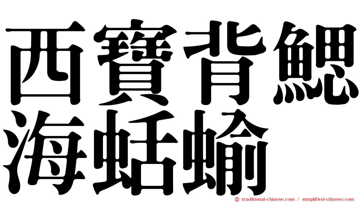 西寶背鰓海蛞蝓