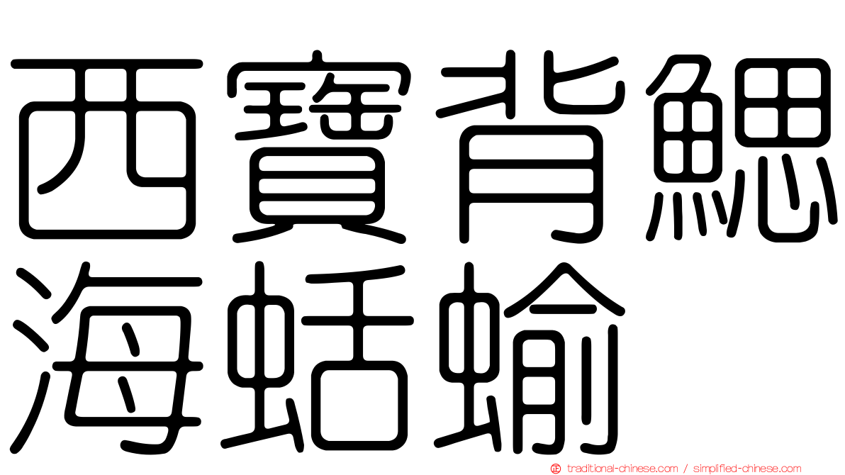 西寶背鰓海蛞蝓