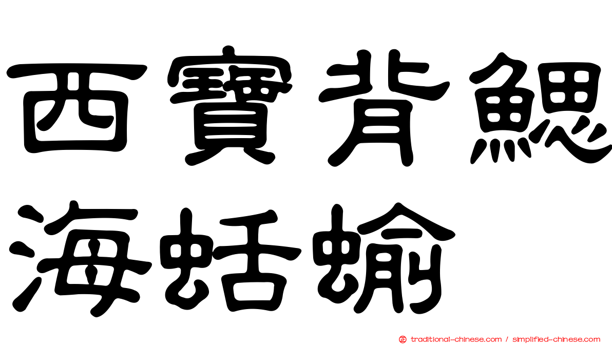 西寶背鰓海蛞蝓