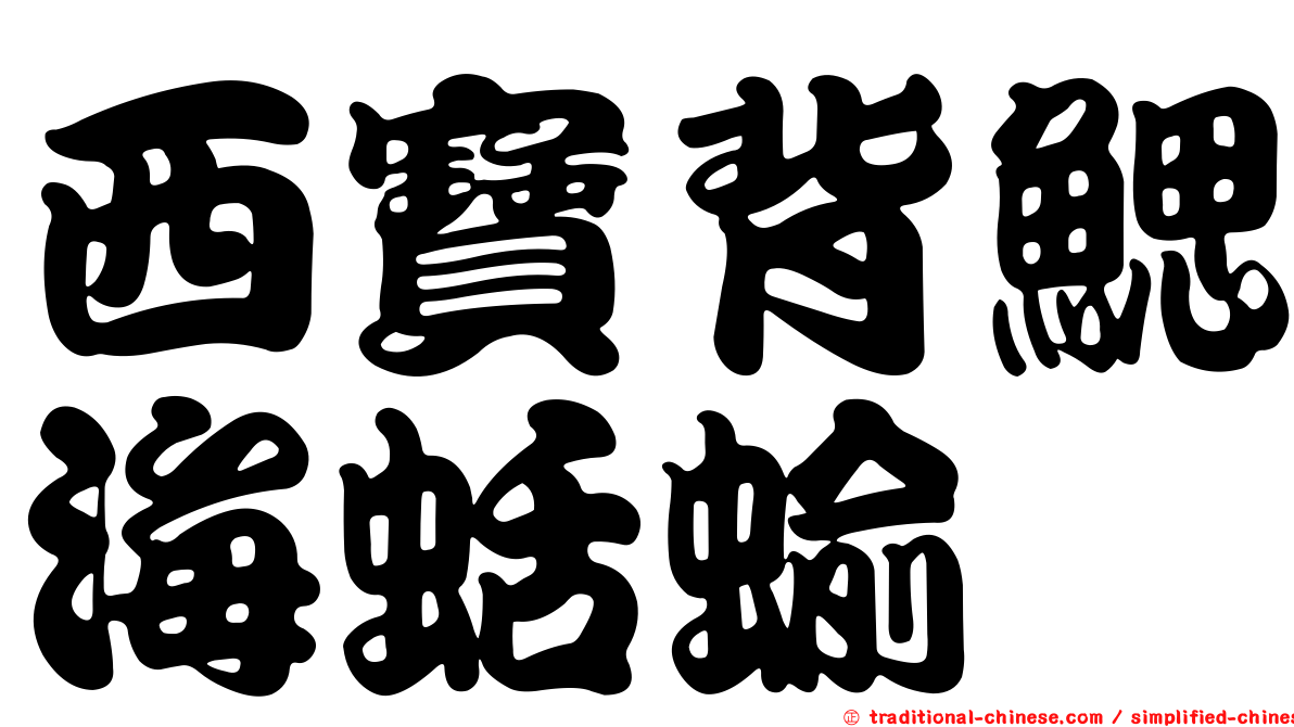 西寶背鰓海蛞蝓