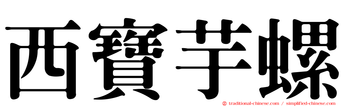 西寶芋螺