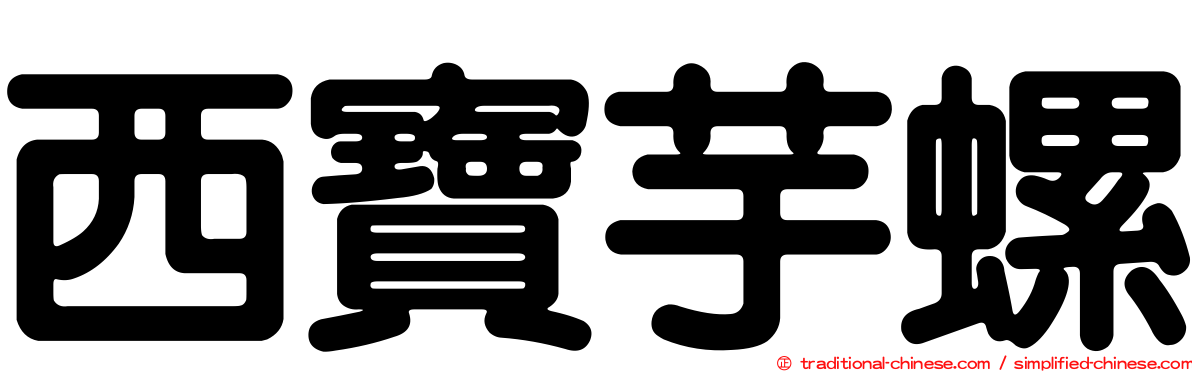 西寶芋螺