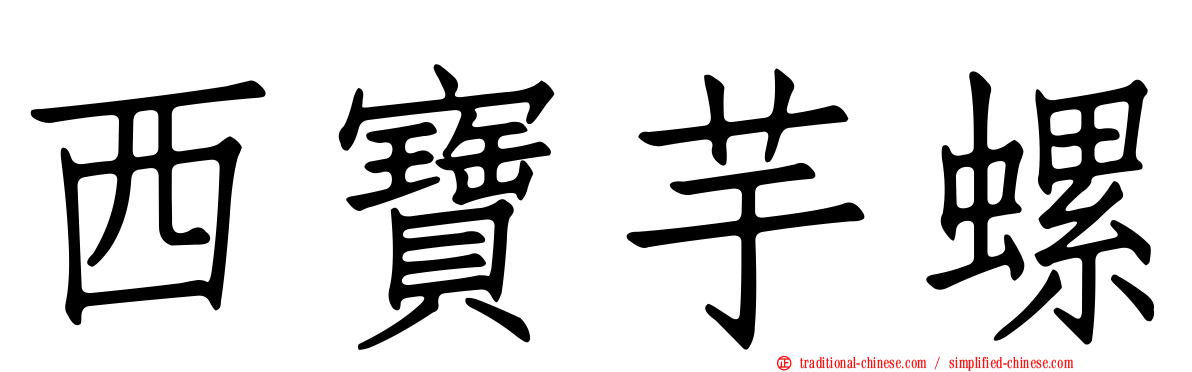 西寶芋螺