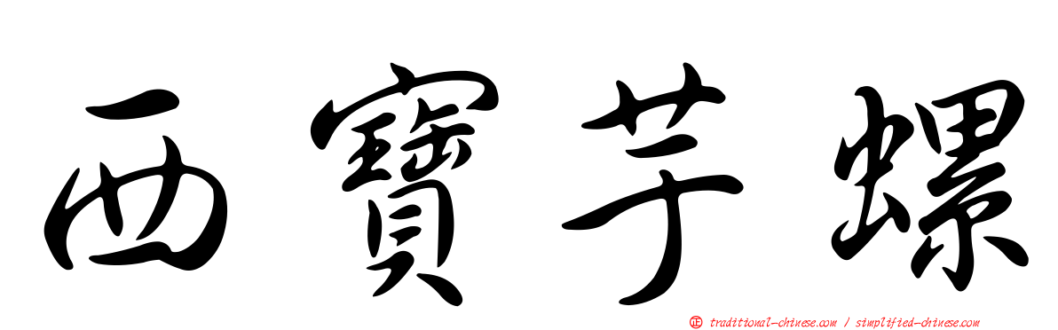 西寶芋螺