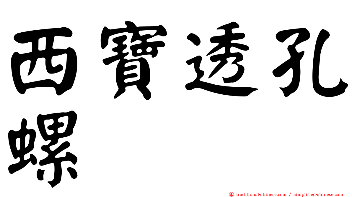 西寶透孔螺