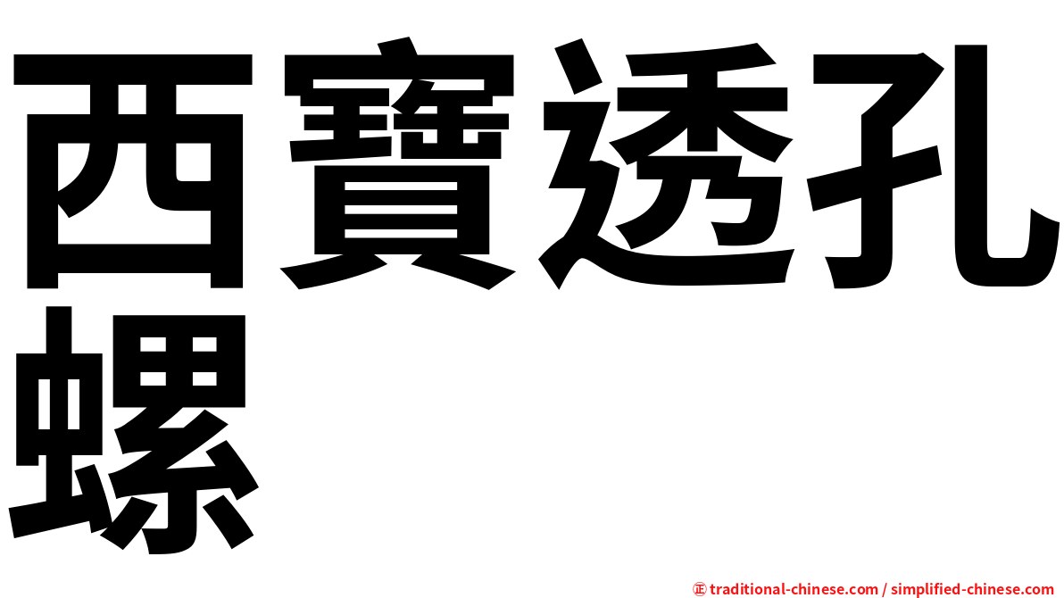 西寶透孔螺