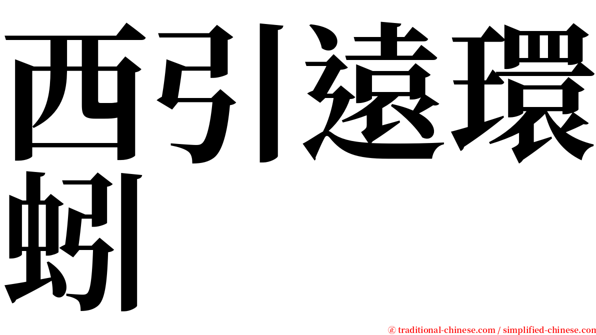 西引遠環蚓 serif font