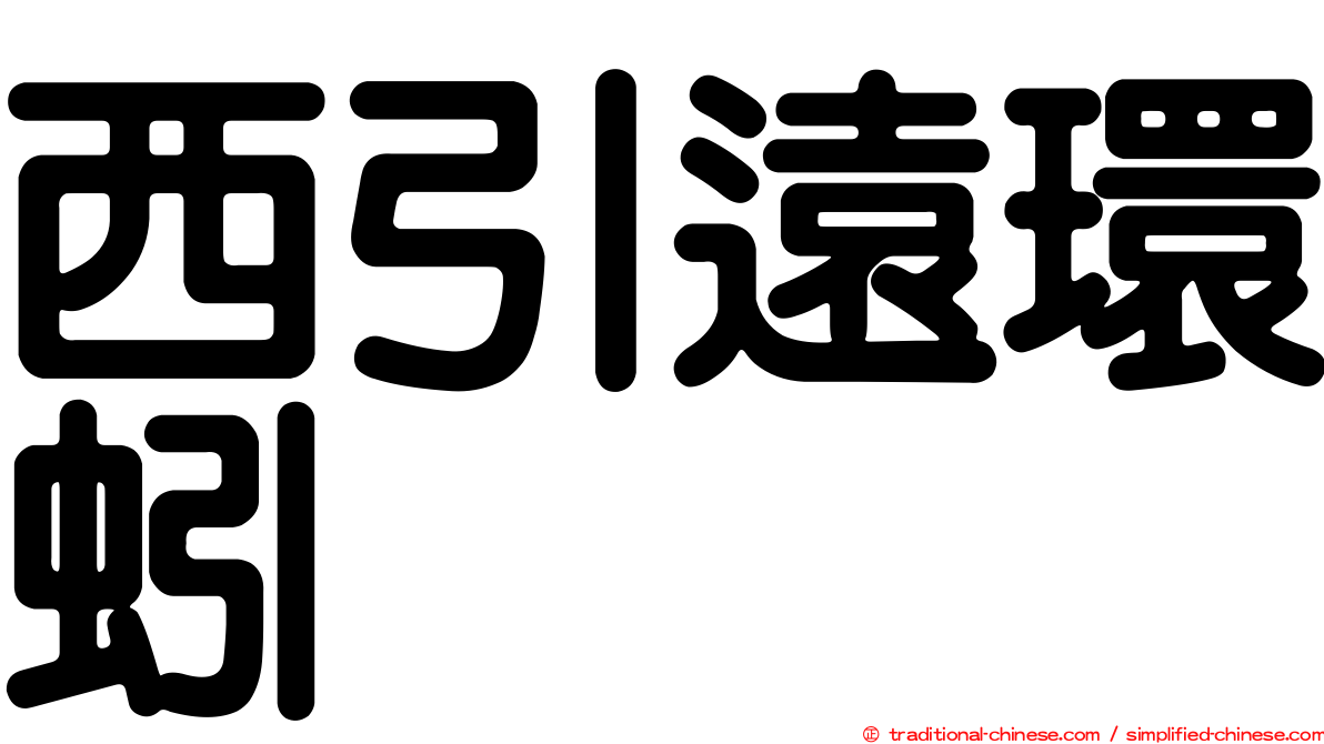 西引遠環蚓