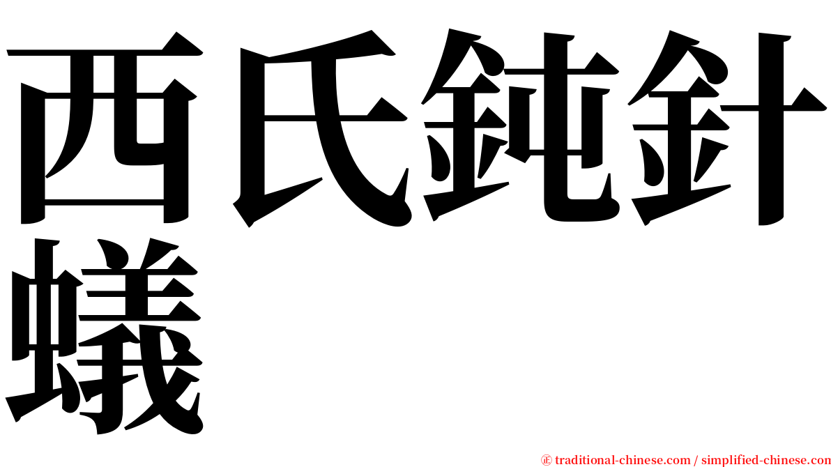 西氏鈍針蟻 serif font