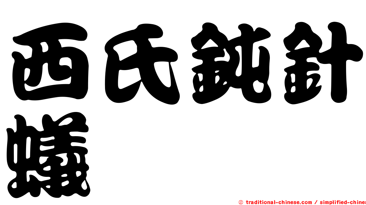 西氏鈍針蟻