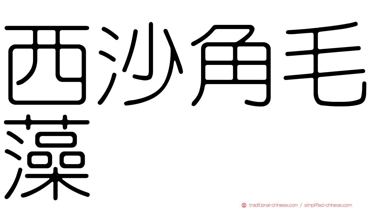 西沙角毛藻