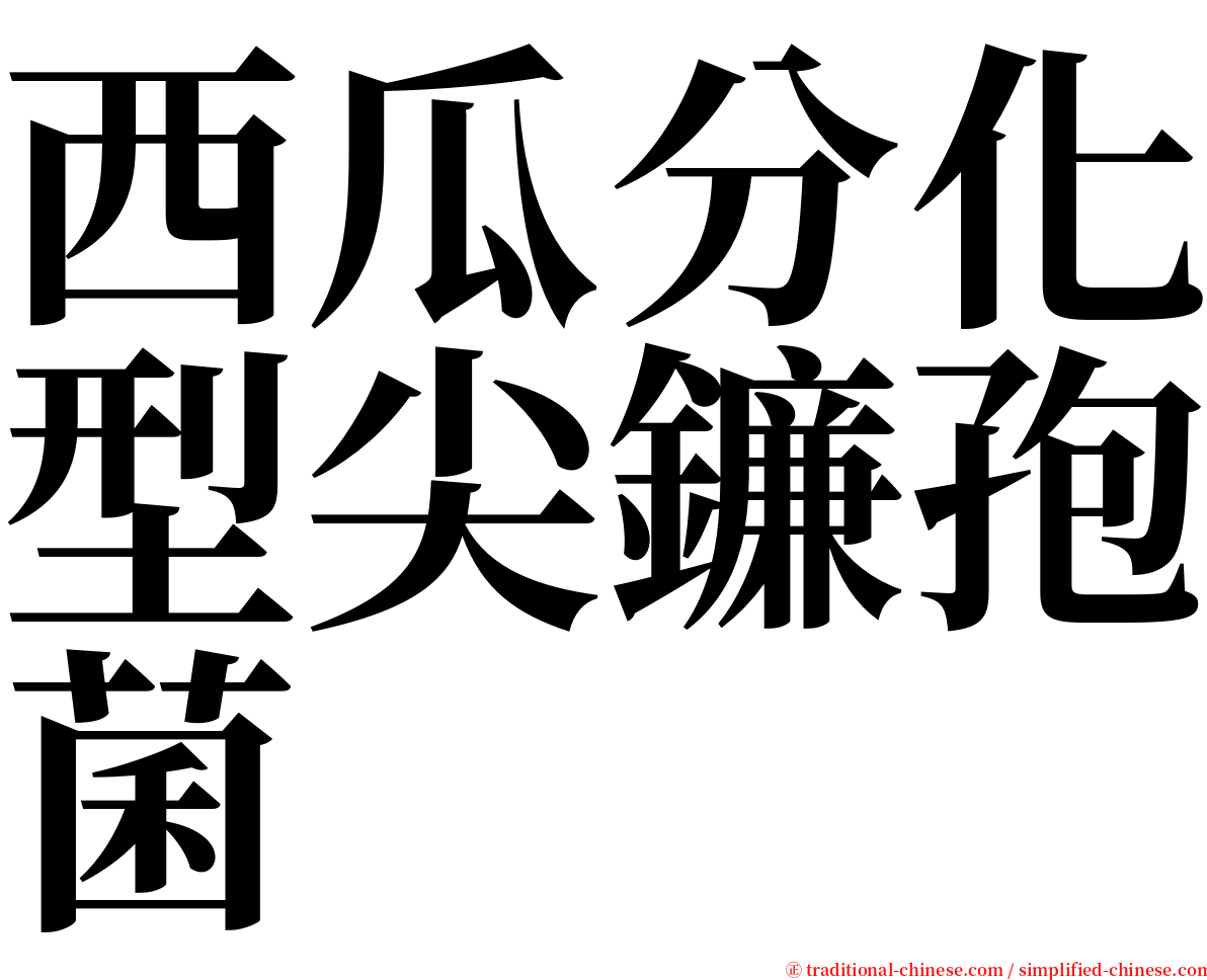 西瓜分化型尖鐮孢菌 serif font