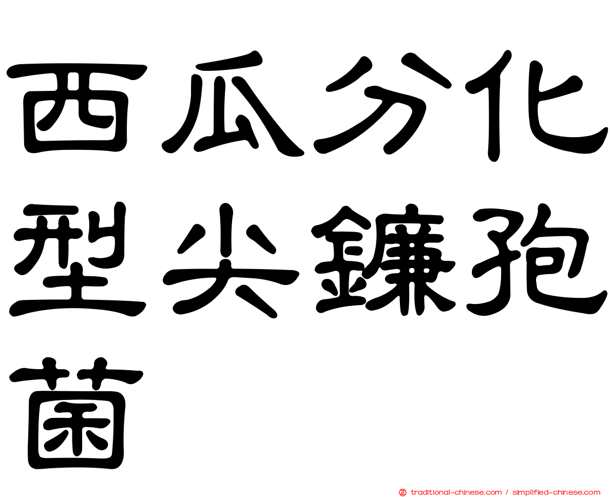 西瓜分化型尖鐮孢菌
