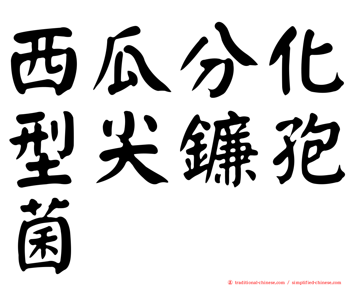 西瓜分化型尖鐮孢菌