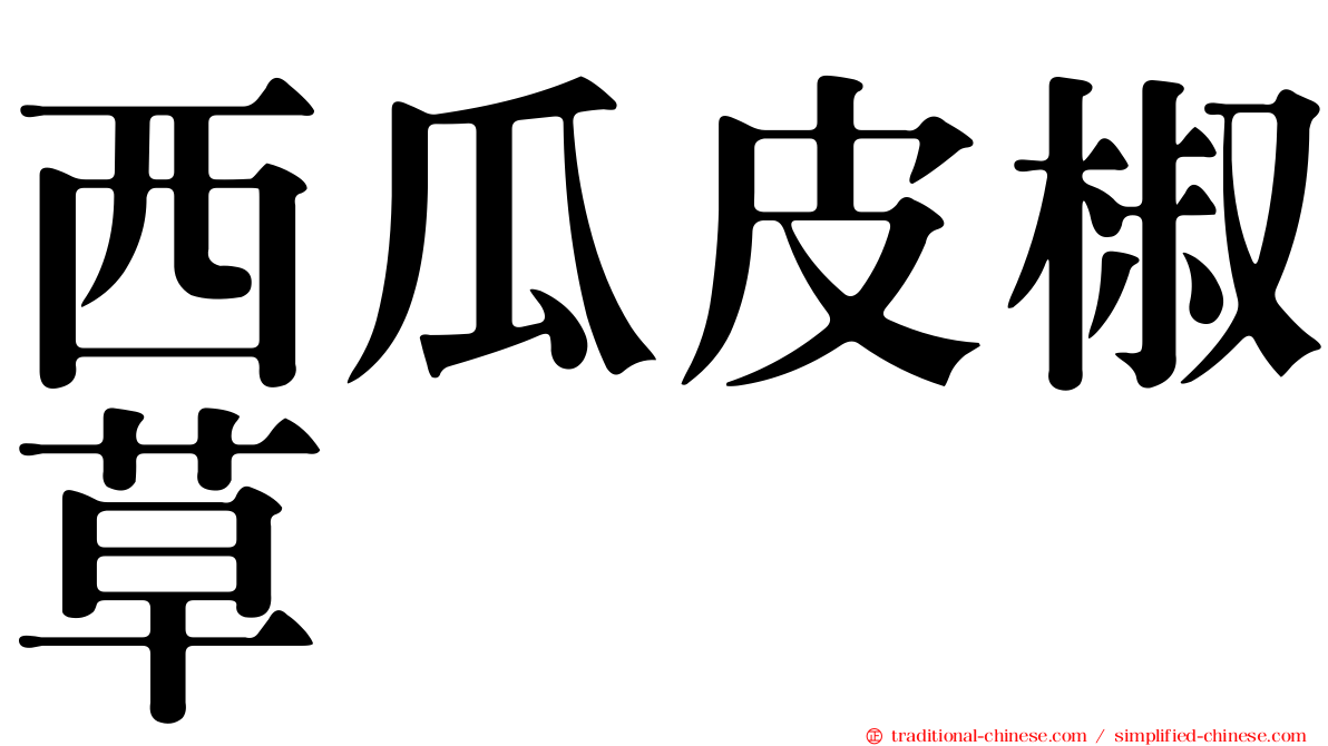 西瓜皮椒草