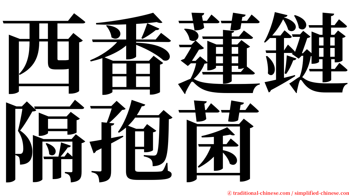 西番蓮鏈隔孢菌 serif font