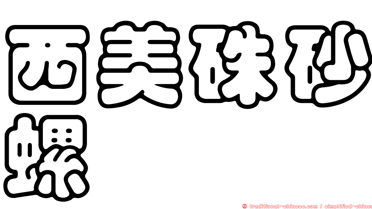 西美硃砂螺