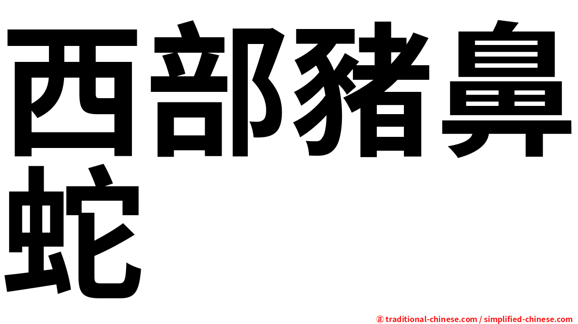 西部豬鼻蛇