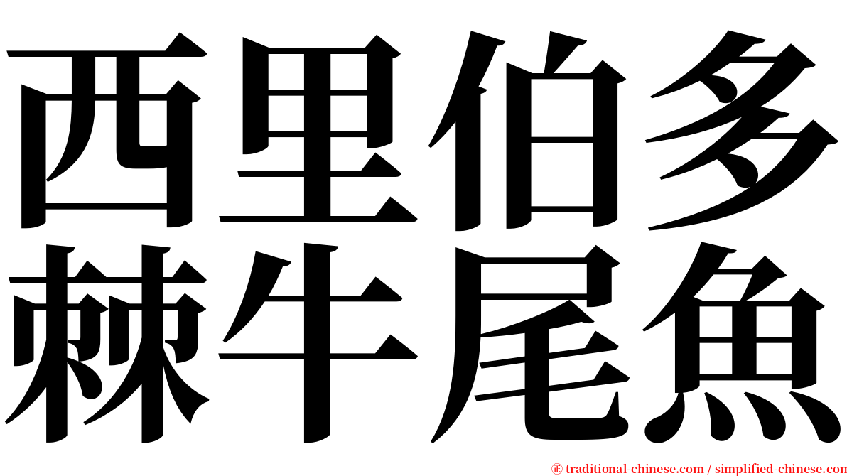 西里伯多棘牛尾魚 serif font