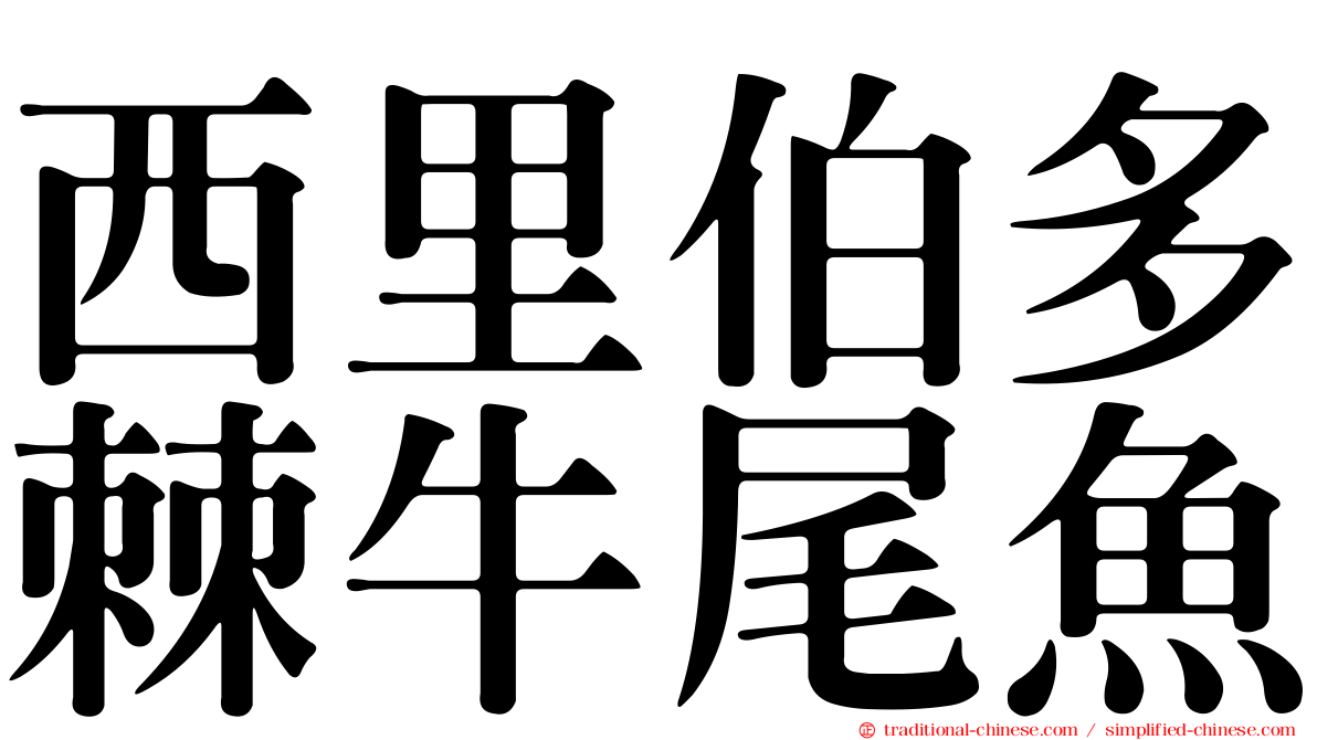 西里伯多棘牛尾魚