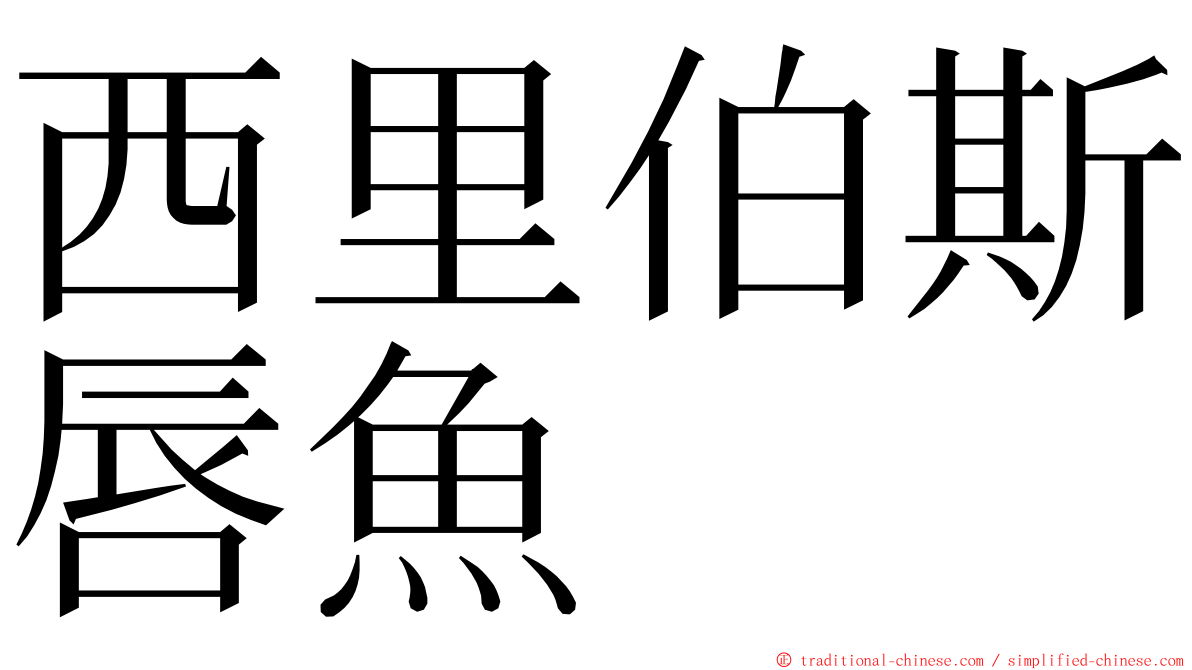 西里伯斯唇魚 ming font