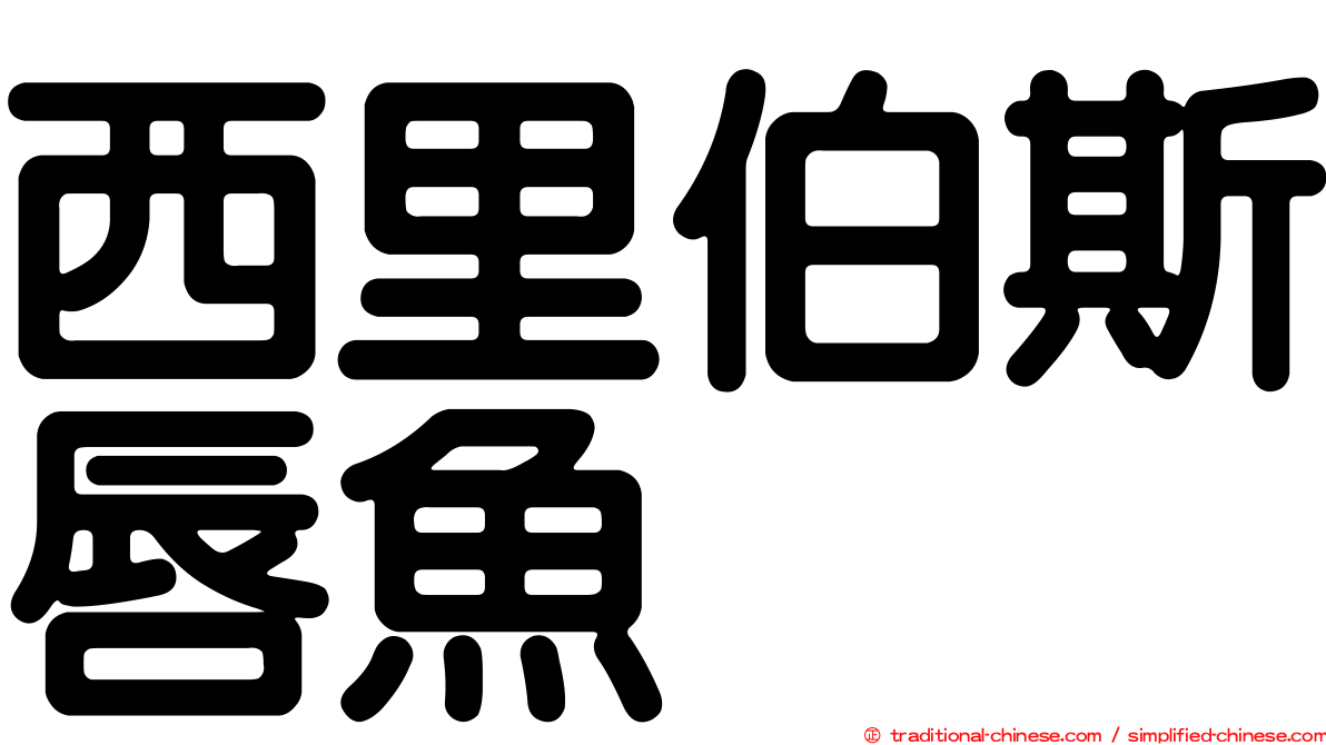 西里伯斯唇魚