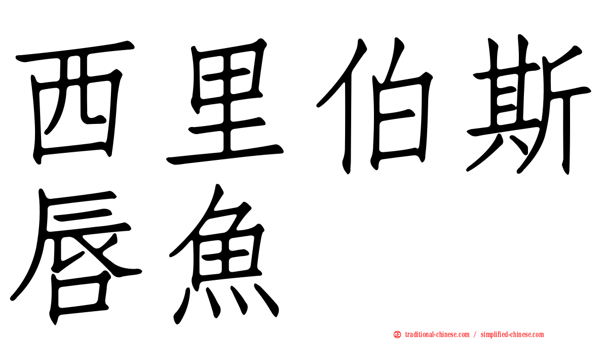 西里伯斯唇魚