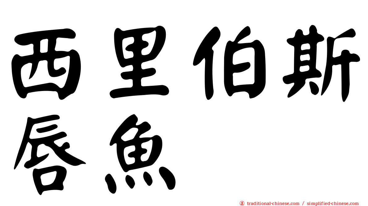 西里伯斯唇魚