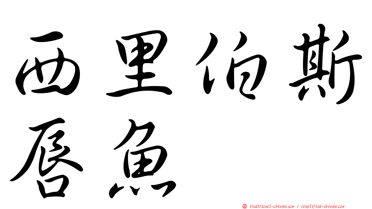 西里伯斯唇魚