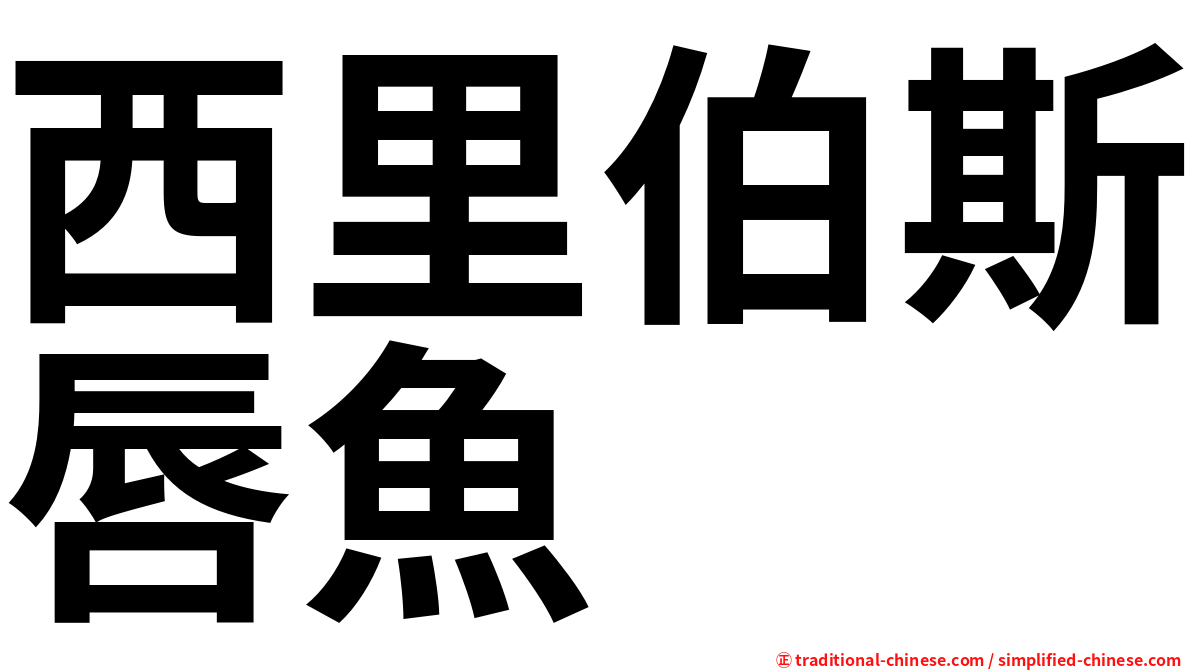 西里伯斯唇魚