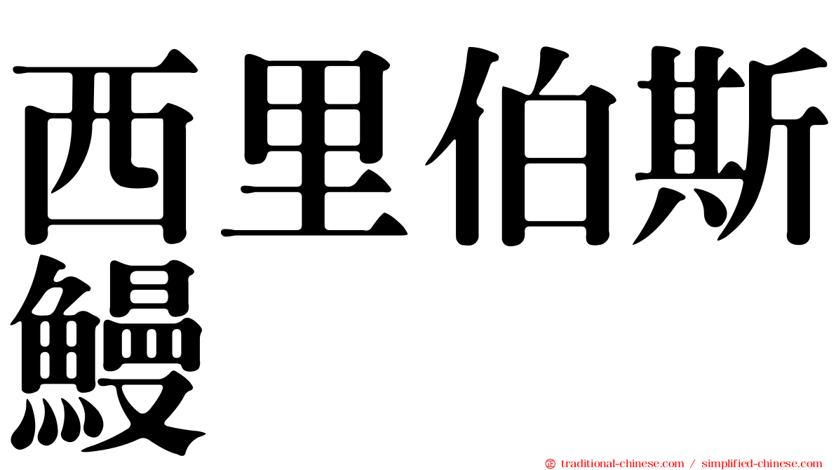 西里伯斯鰻