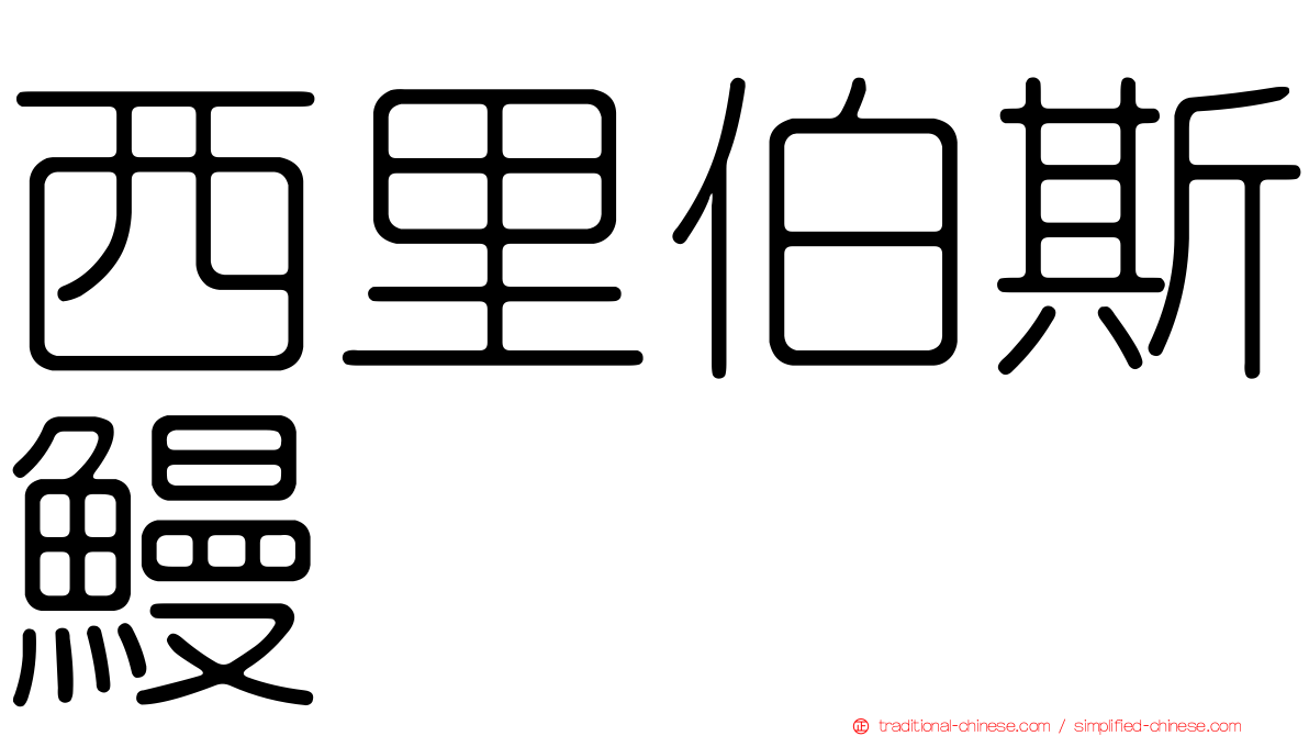 西里伯斯鰻