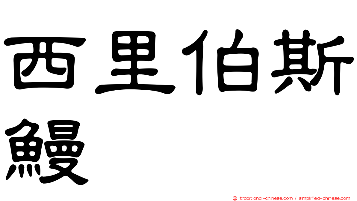 西里伯斯鰻