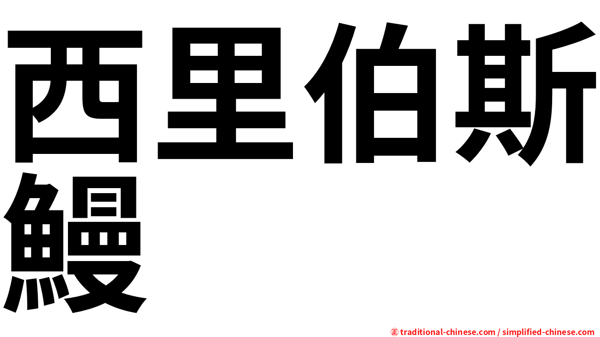 西里伯斯鰻