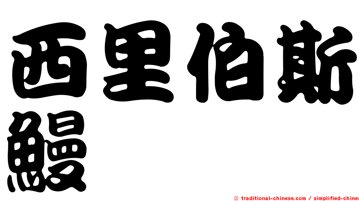 西里伯斯鰻鱺