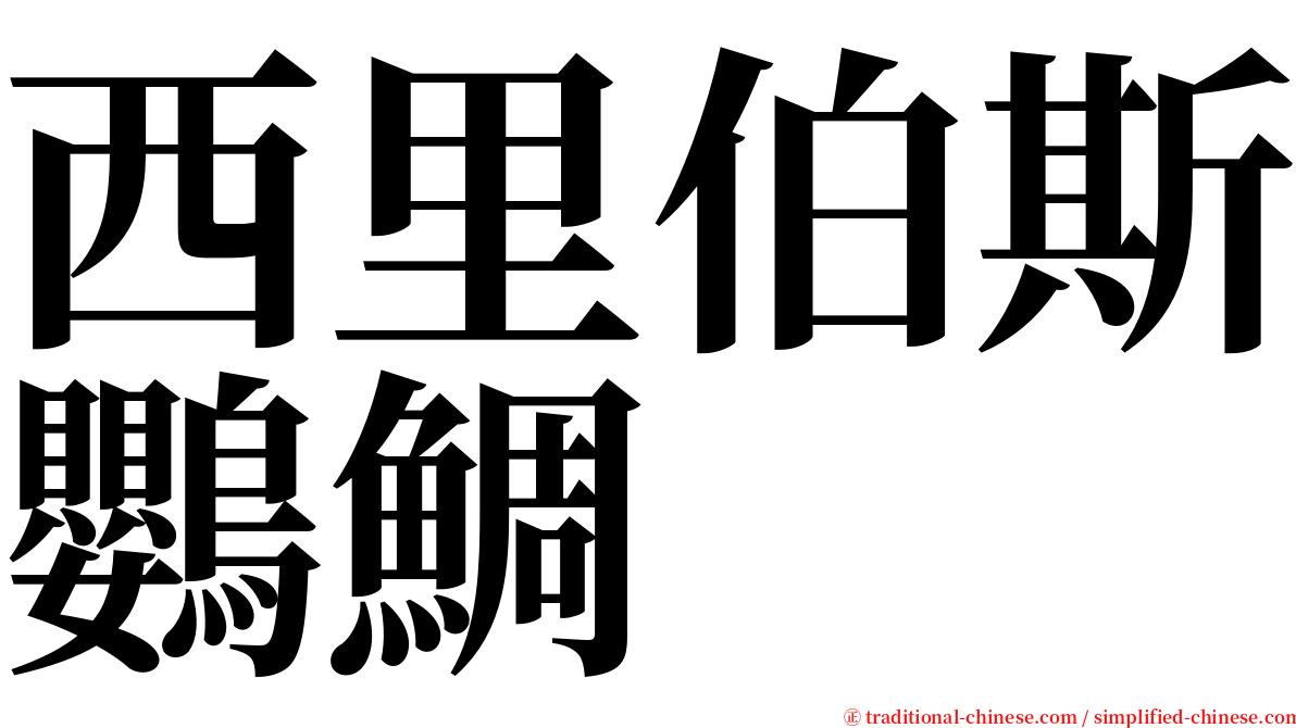 西里伯斯鸚鯛 serif font