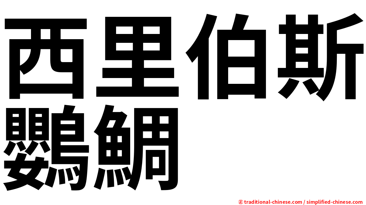 西里伯斯鸚鯛