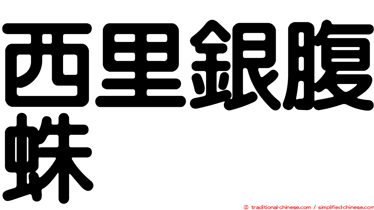 西里銀腹蛛
