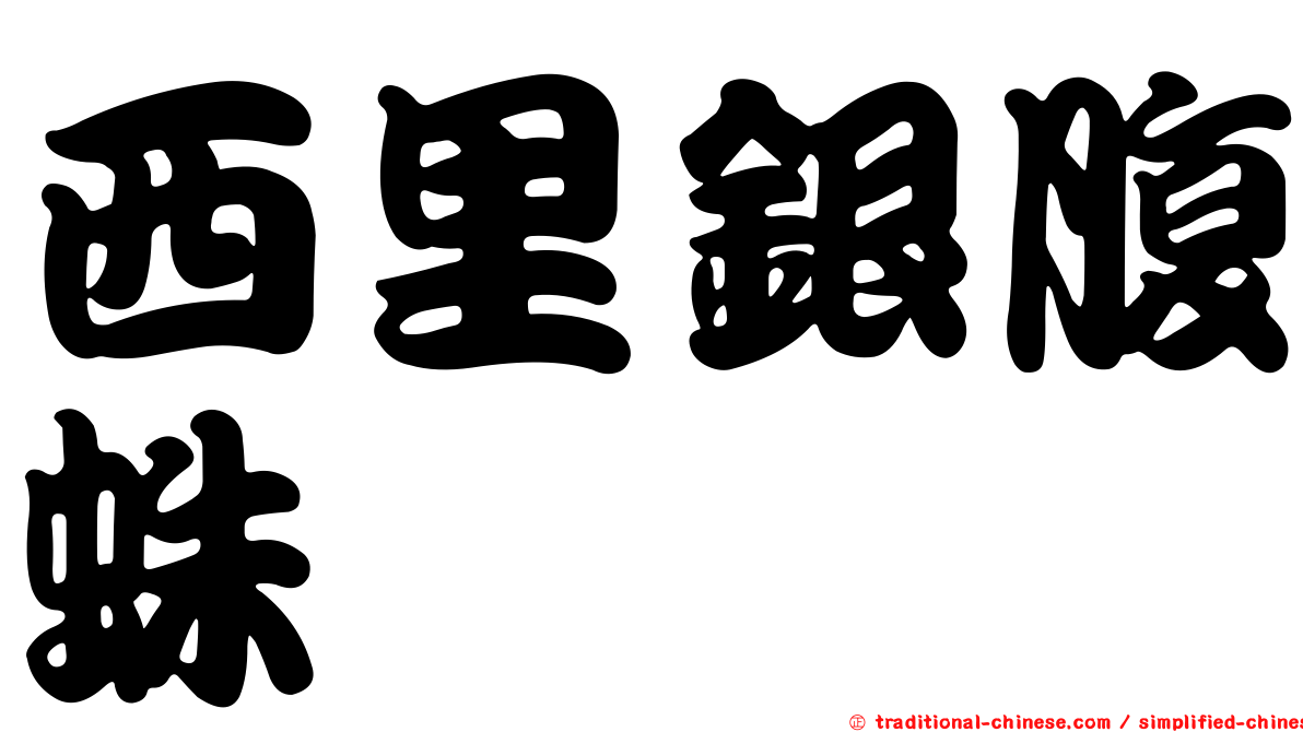 西里銀腹蛛