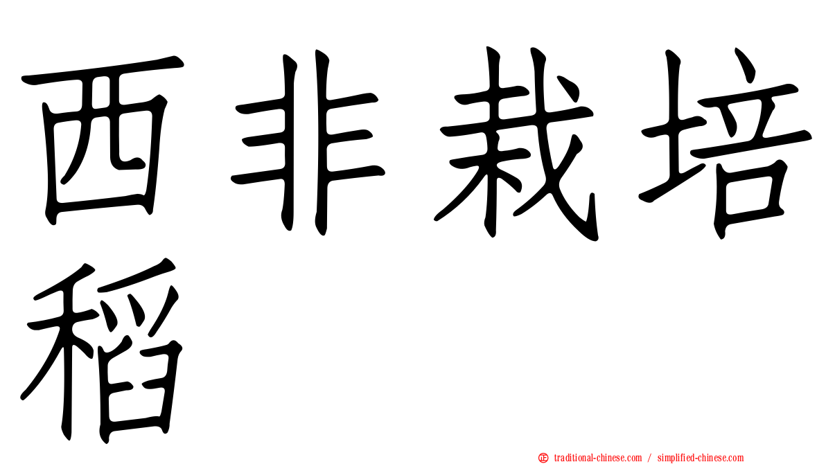 西非栽培稻