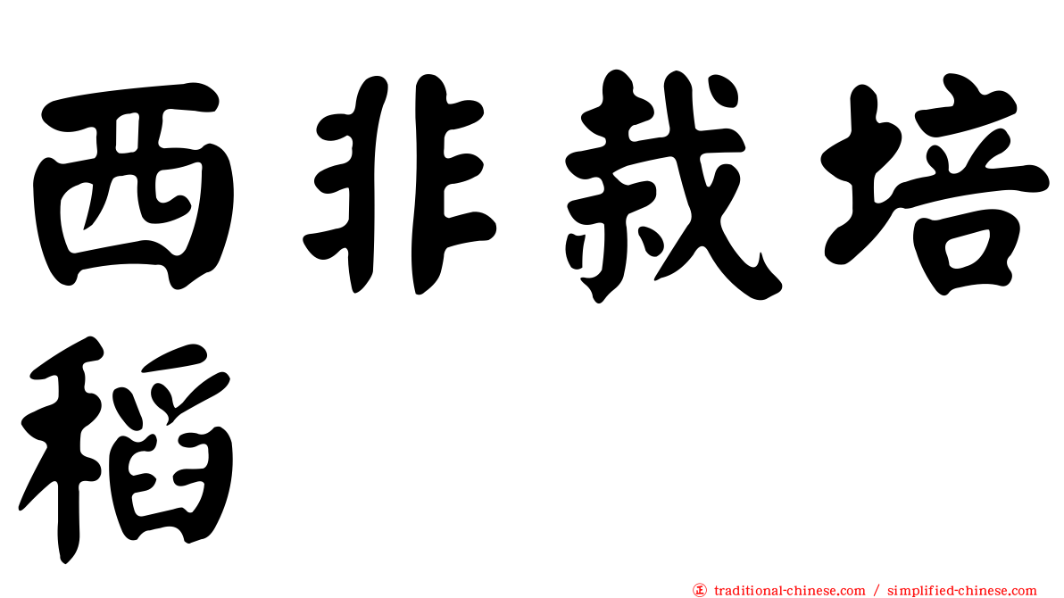 西非栽培稻