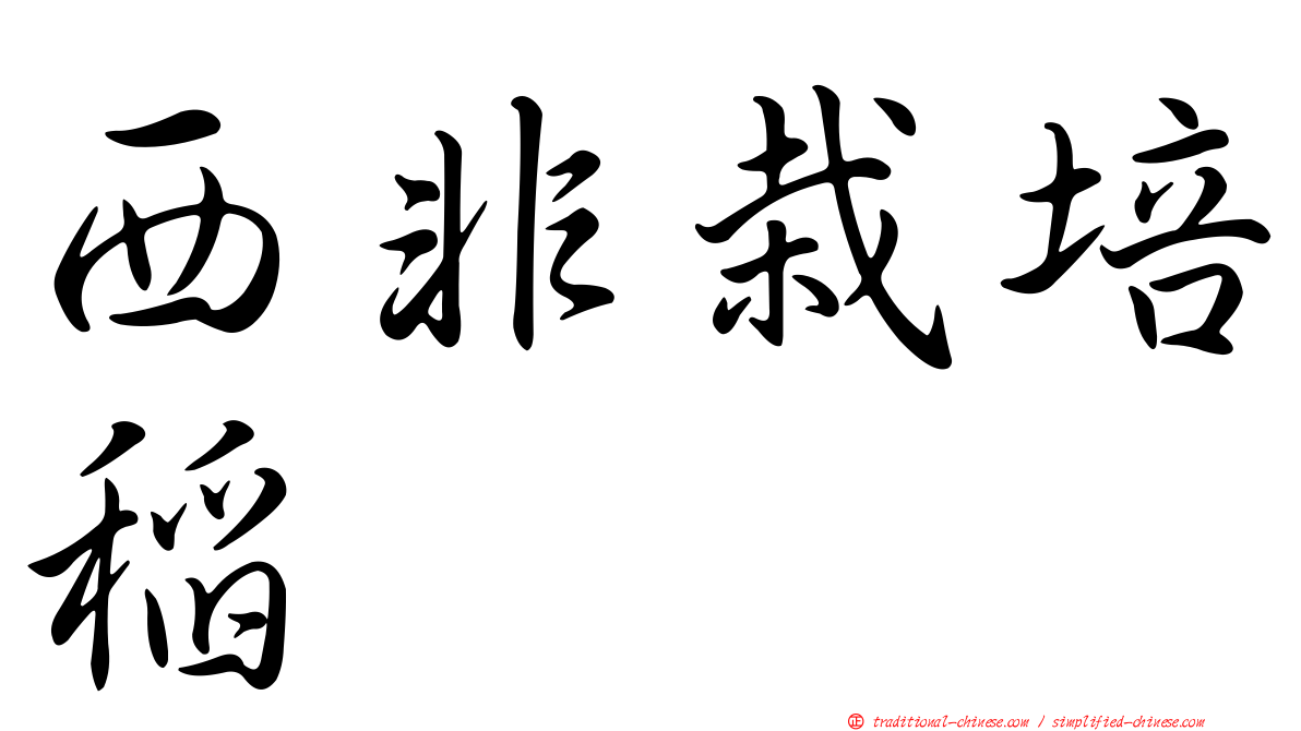 西非栽培稻
