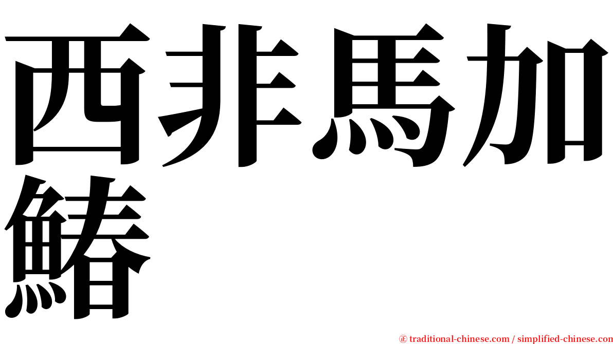 西非馬加鰆 serif font