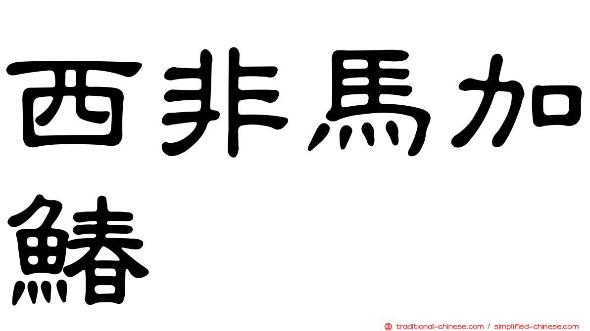 西非馬加鰆