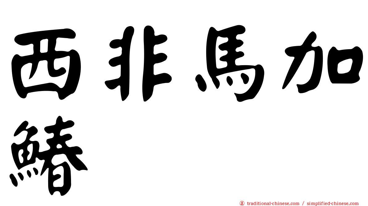 西非馬加鰆