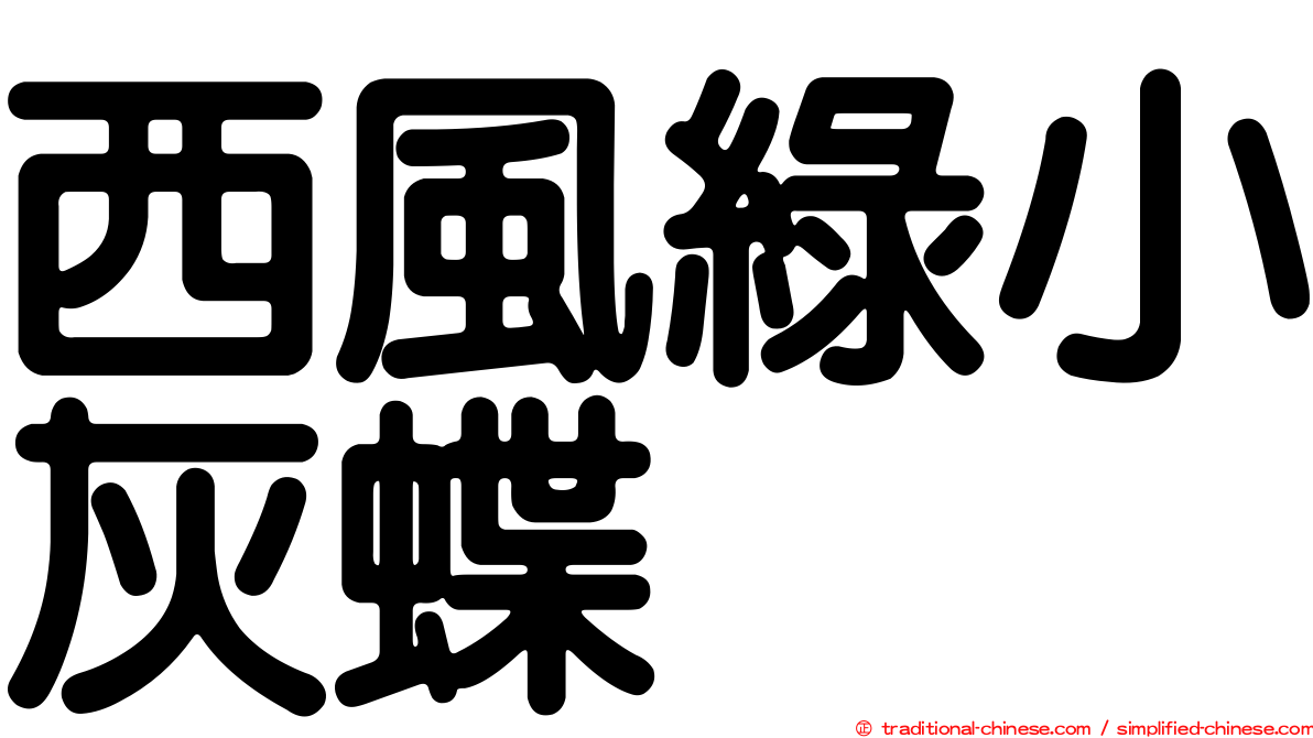 西風綠小灰蝶