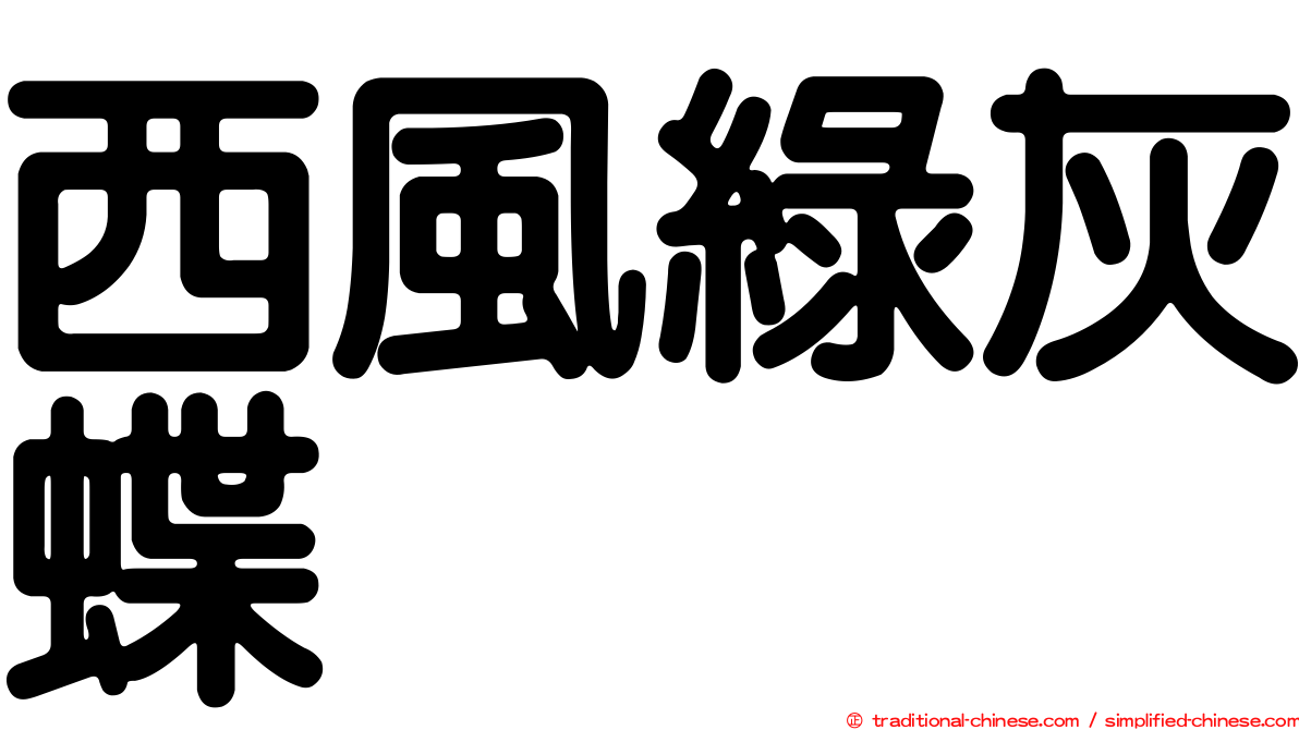 西風綠灰蝶