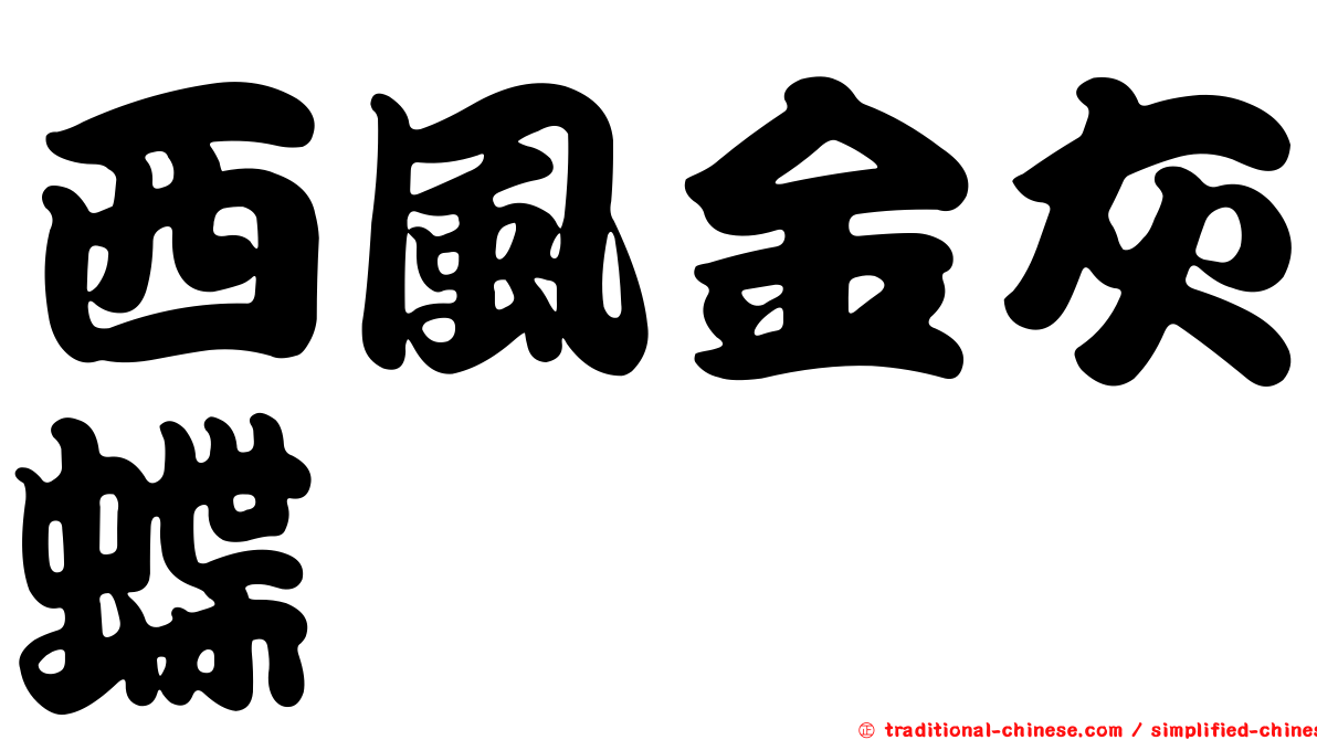 西風金灰蝶
